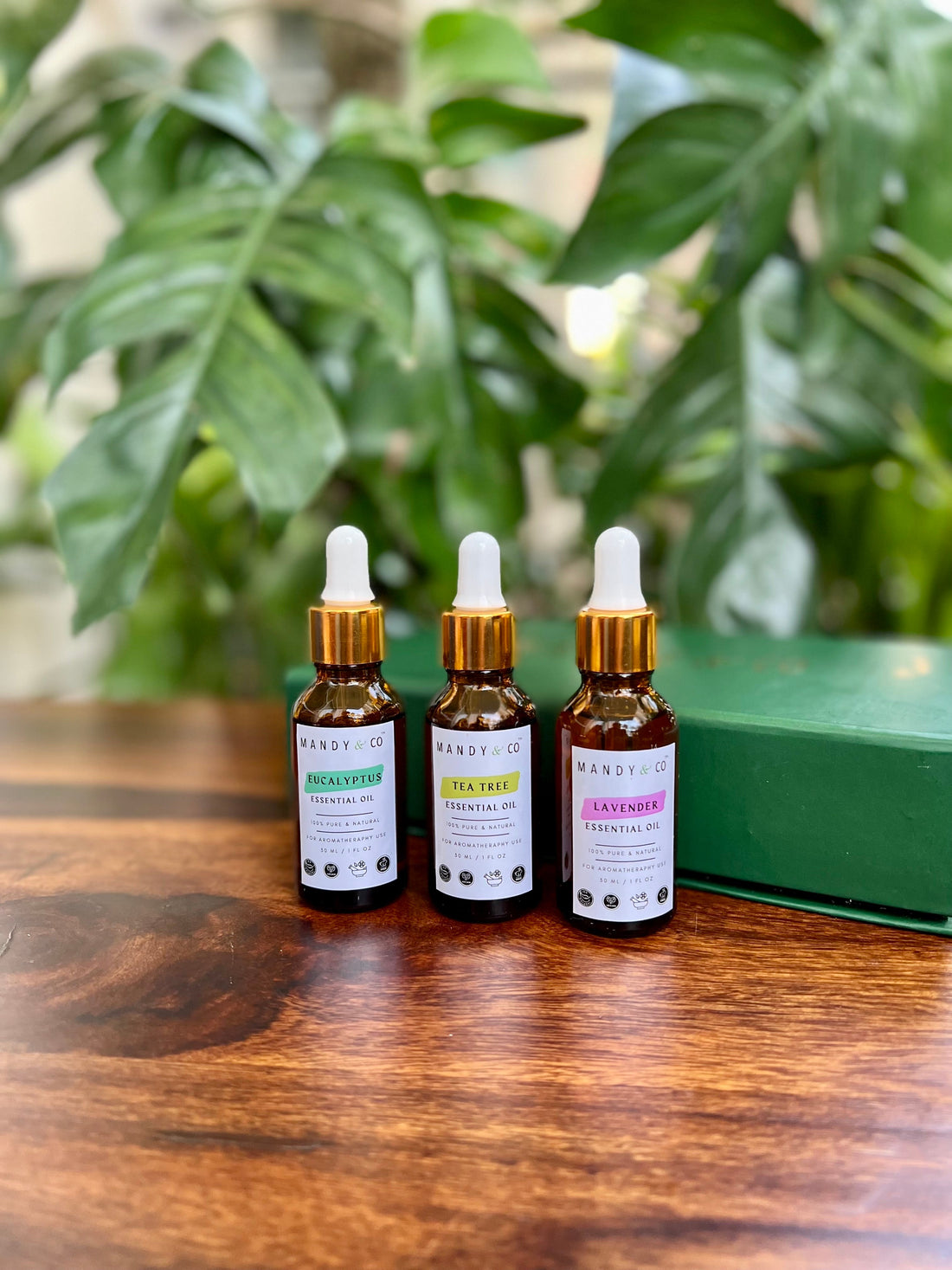 Exploring the Benefits of Essential Oils: A Guide to Health and Wellness - Mandy and Co