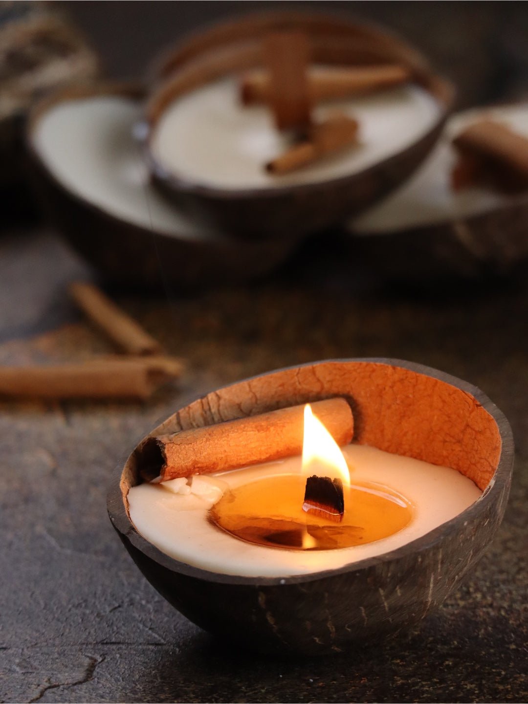 Coconut Shell Soy Candle – Set of 3 | Cinnamon - Mandy and Co
