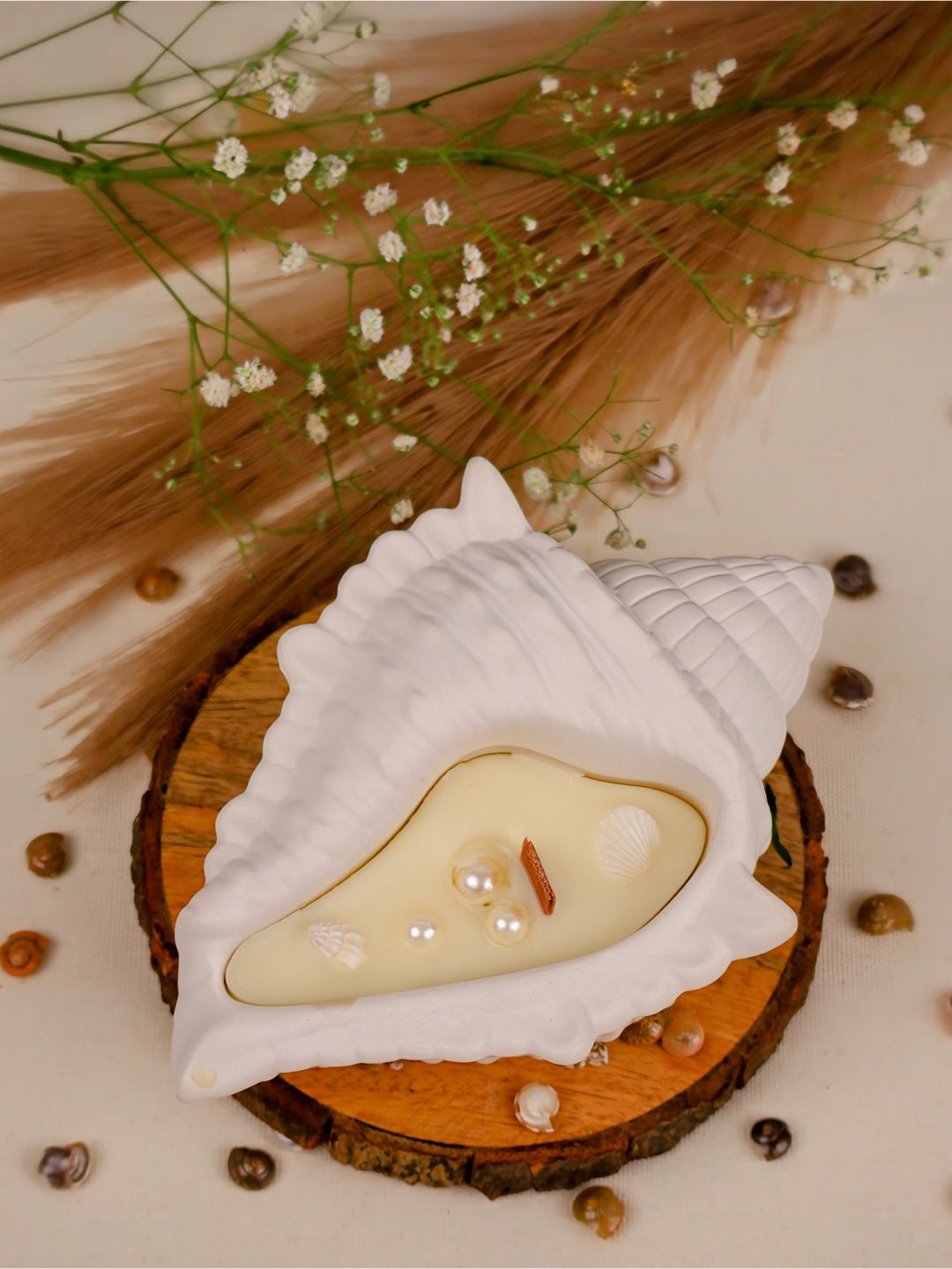 Sea Shell Soy Candle with Wooden Wick | Ocean Breeze (Pack of 2) - Mandy and Co