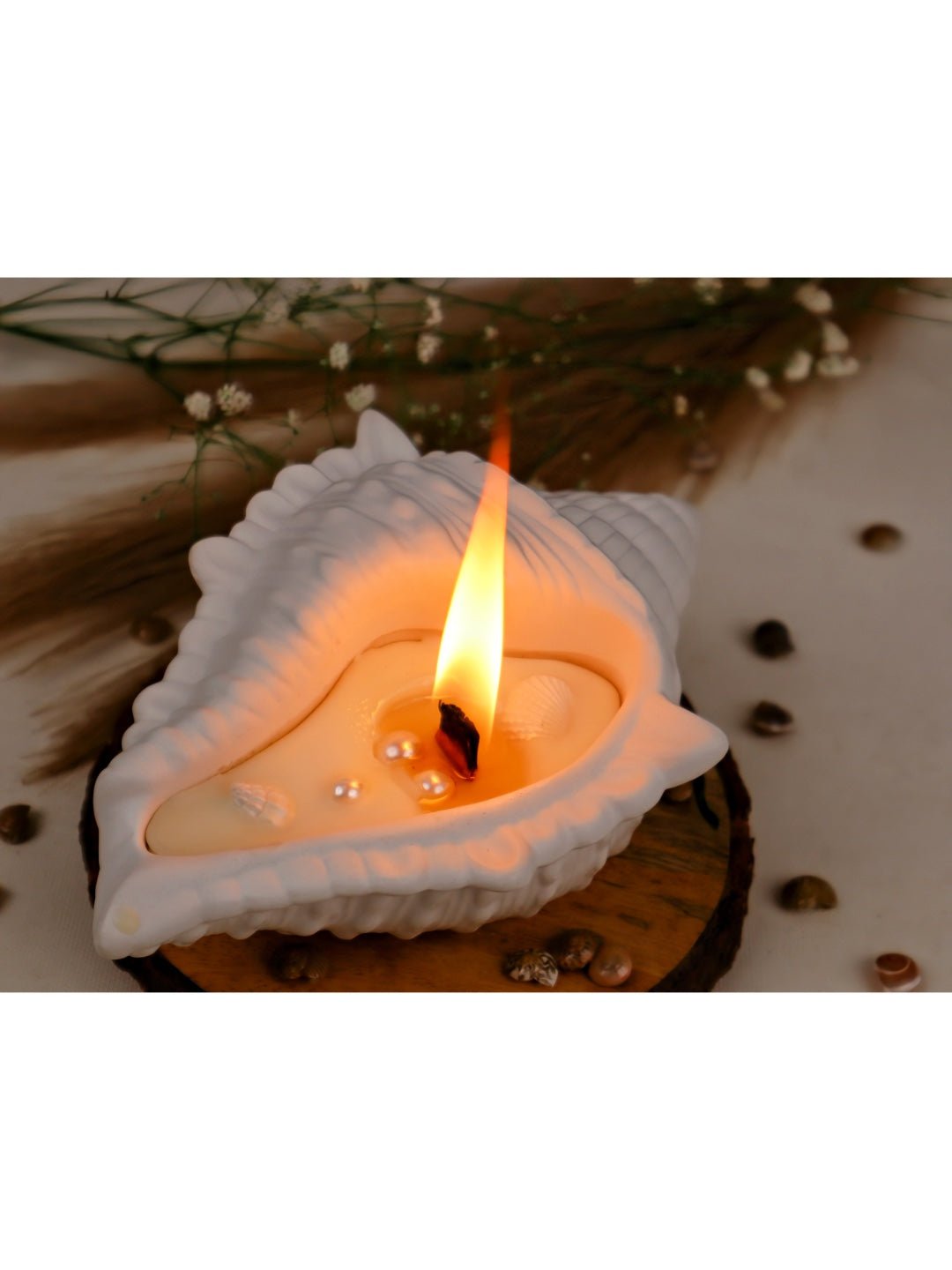 Sea Shell Soy Candle with Wooden Wick | Ocean Breeze (Pack of 2) - Mandy and Co