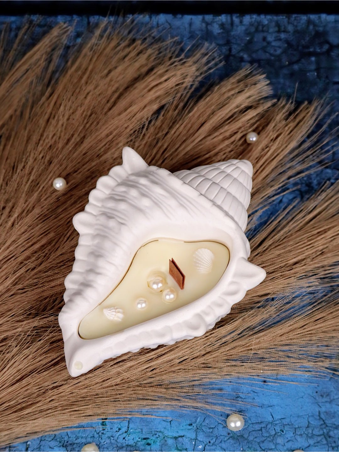 Sea Shell Soy Candle with Wooden Wick | Ocean Breeze (Pack of 2) - Mandy and Co