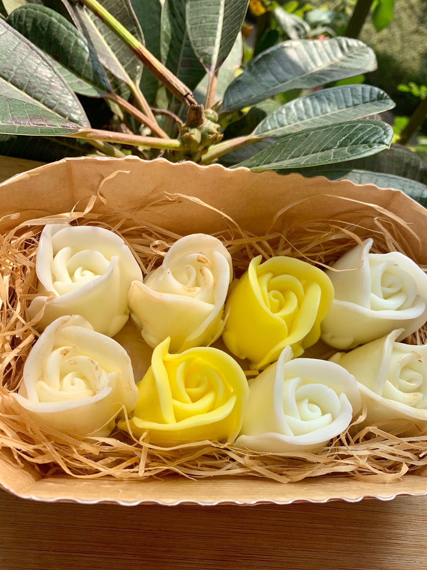 Box of 8 roses - Lemon - Mandy and Co