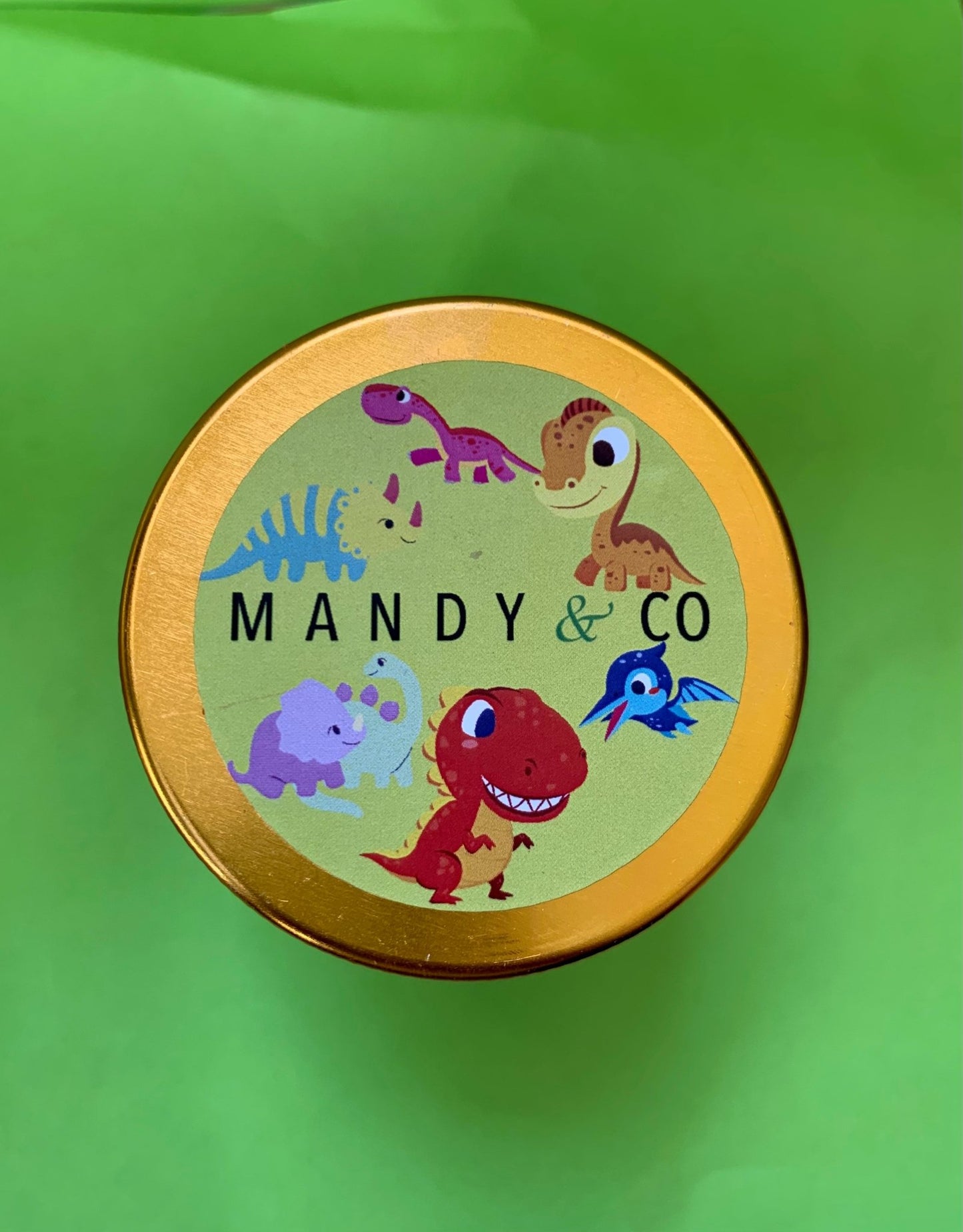 Mini Soap Jars: Dinosaurs - Mandy and Co
