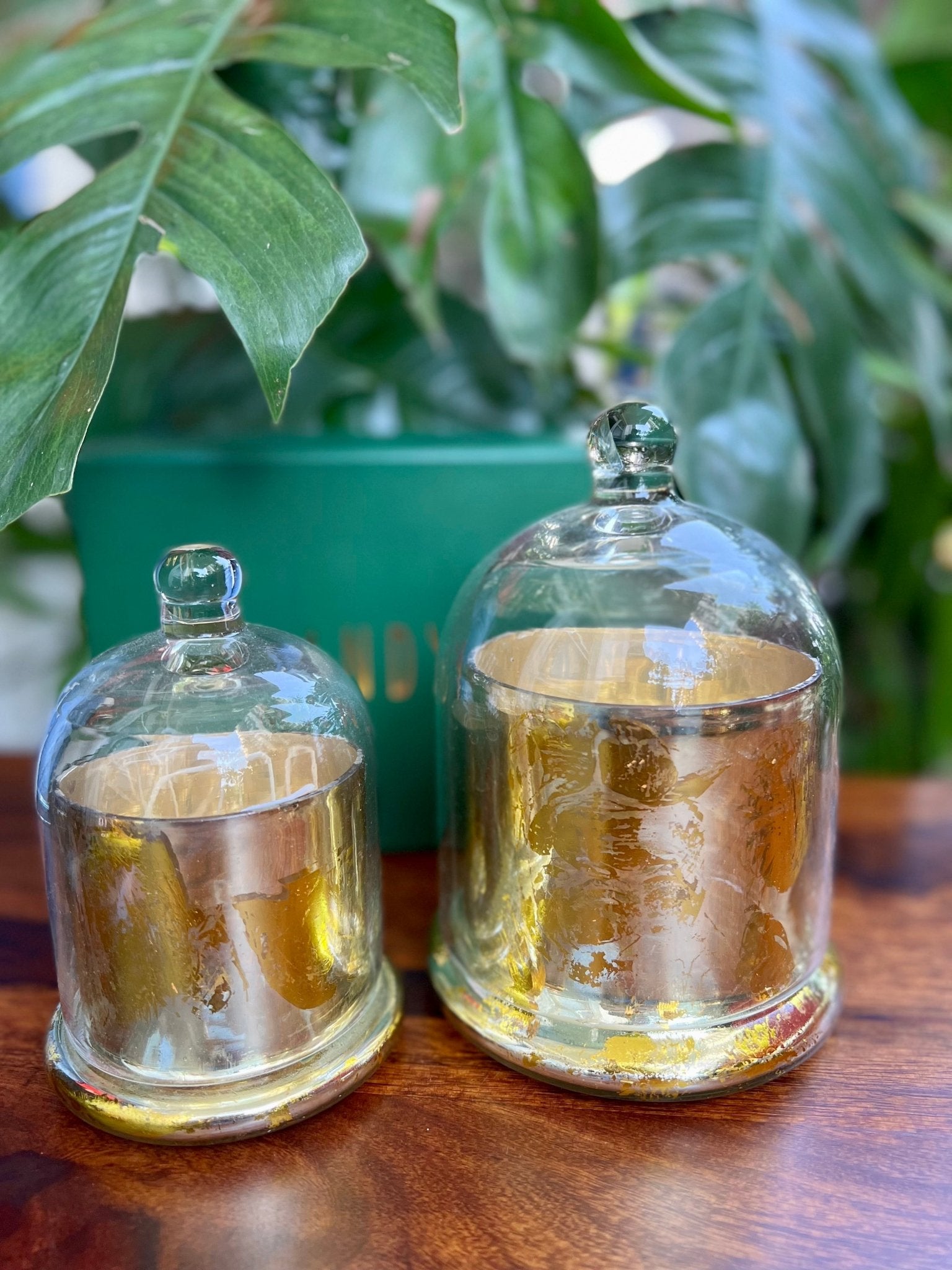 Premium Scented Bell Jar Candle : Pair of 2 - Mandy and Co