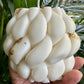Braided Soy Candle: Handmade with gold foil details - Mandy and Co