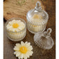 Daisy Glass Jar Soy Candle – Pack of 2 | Oud Scent - Mandy and Co