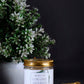Ghee Diya Batti - Pack of 100 (Camphor) - Mandy and Co