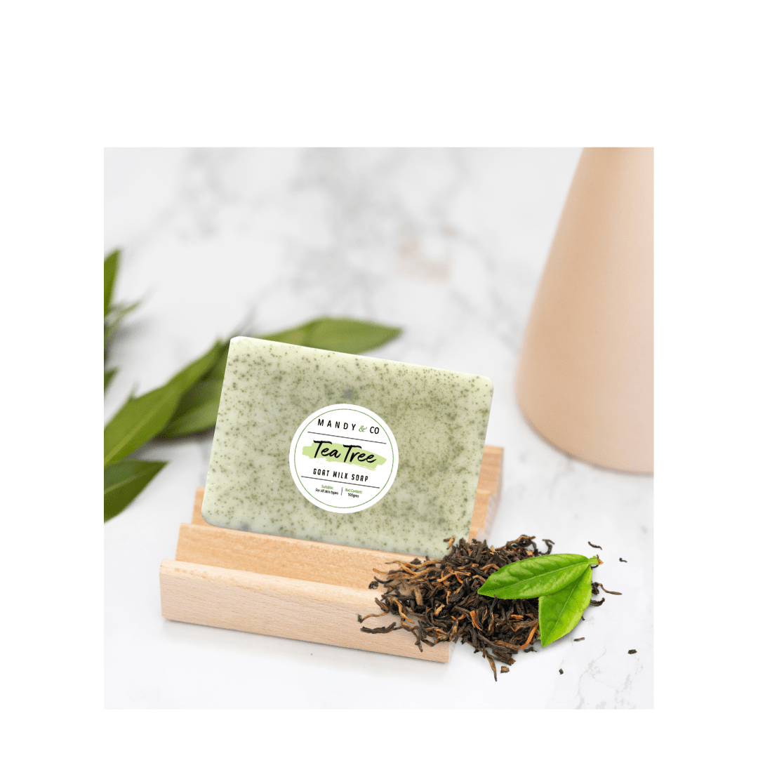 Pack of 4 soaps: Cinnamon charcoal goat milk soap & Tea tree goat milk soap - Mandy and Co