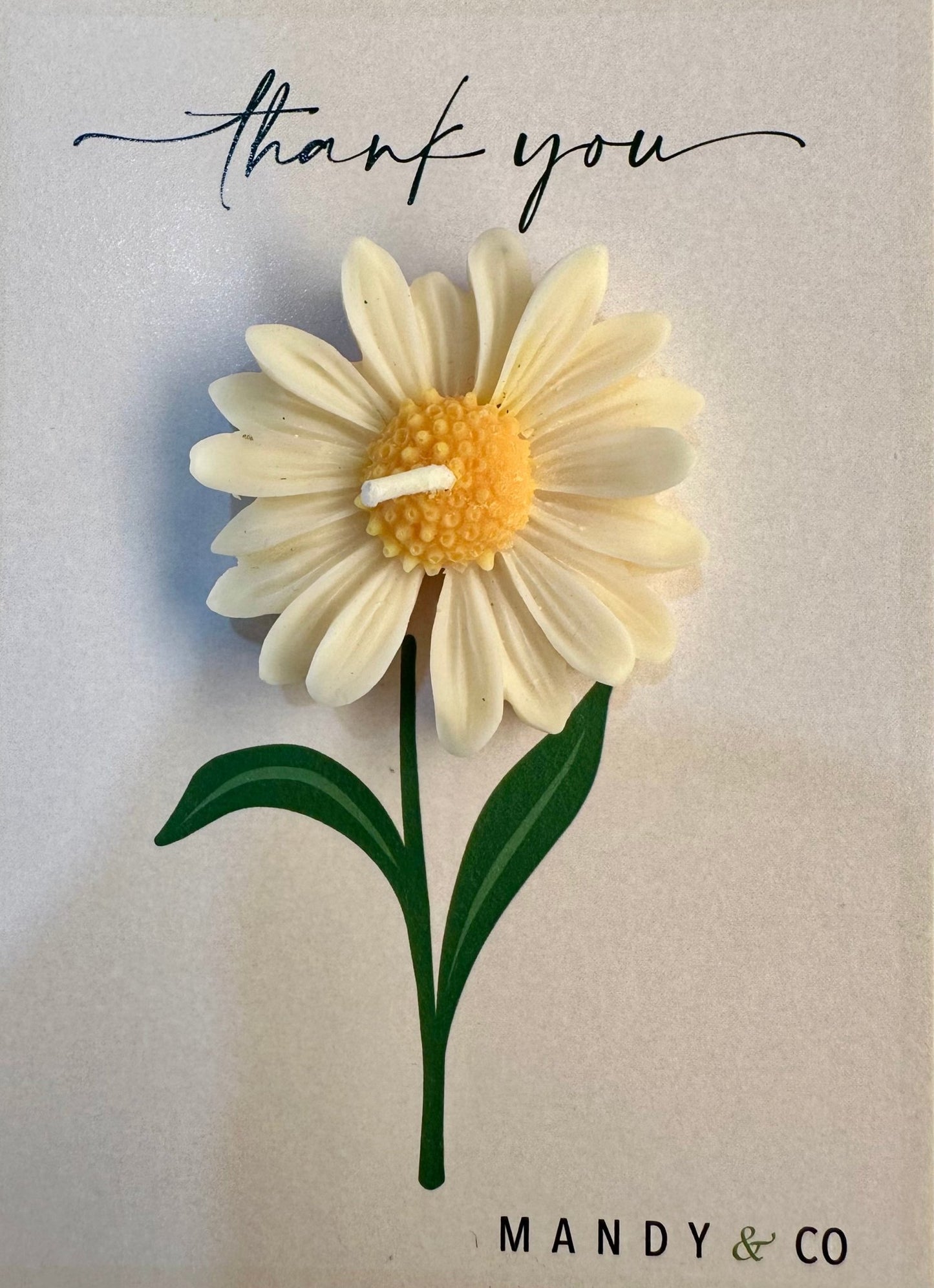 Scented Daisy Scented Candle - Handcrafted Floral Gift - Mandy and Co