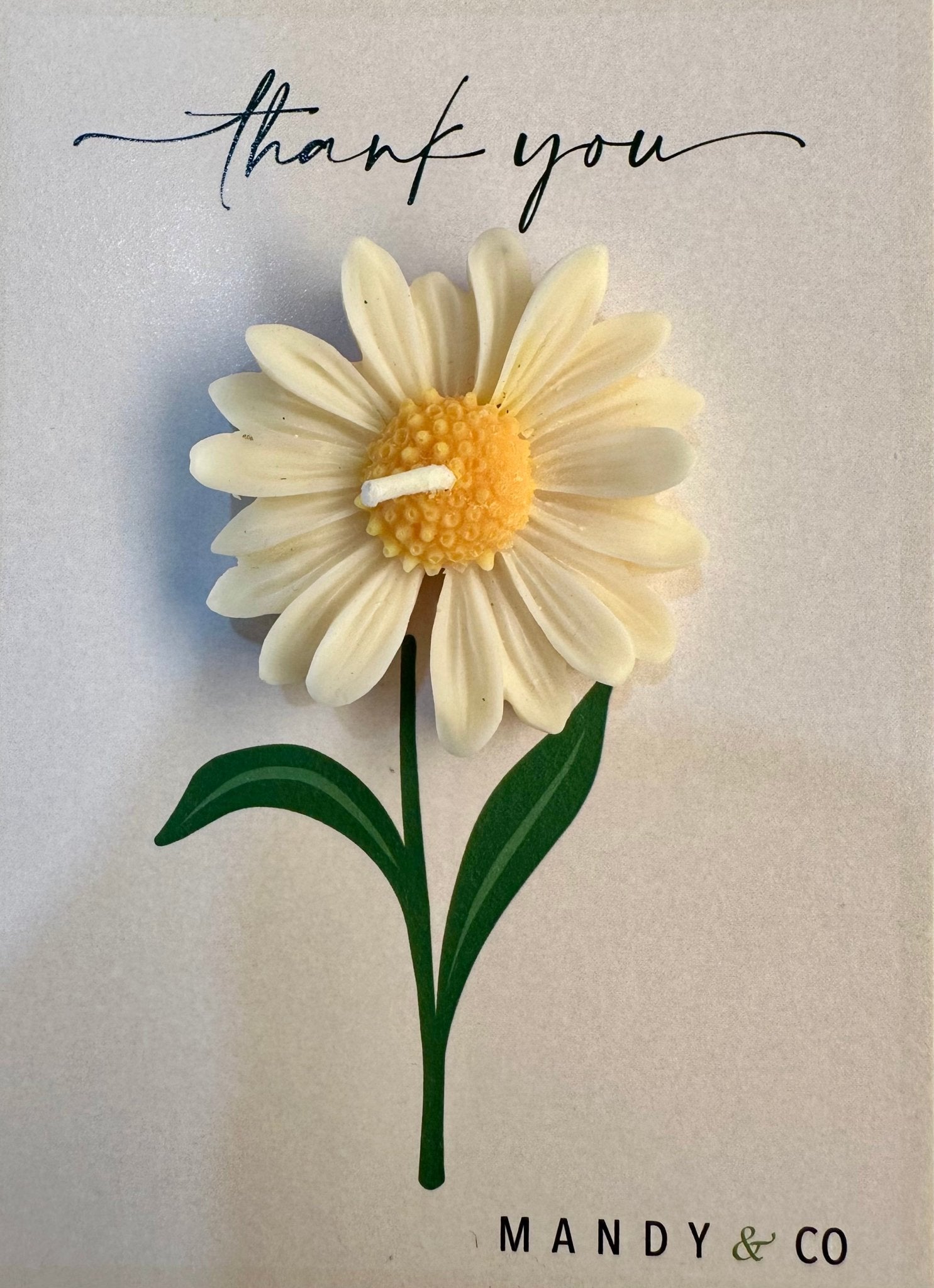 Scented Daisy Scented Candle - Handcrafted Floral Gift - Mandy and Co