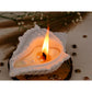 Sea Shell Soy Candle with Wooden Wick | Ocean Breeze (Pack of 2) - Mandy and Co