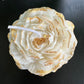 White Peony Soy Candle - Mandy and Co