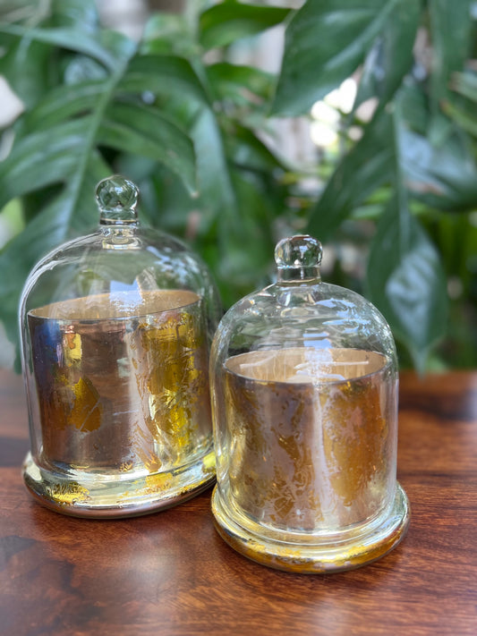Premium Scented Bell Jar Candle : Pair of 2