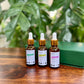 Pure Essential Oils - Gift Pack of 3
