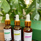 Pure Essential Oils - Gift Pack of 3