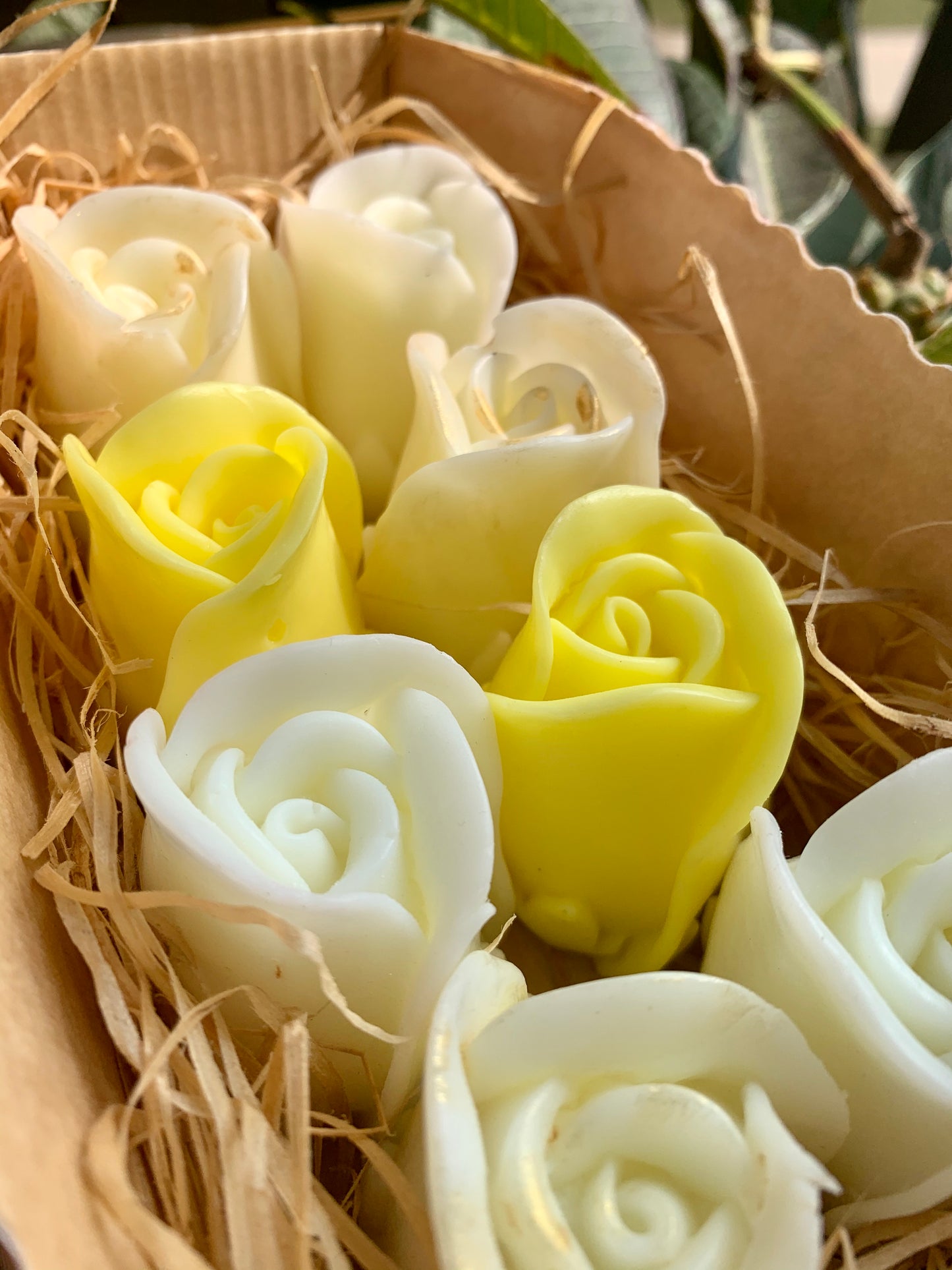 Box of 8 roses - Lemon