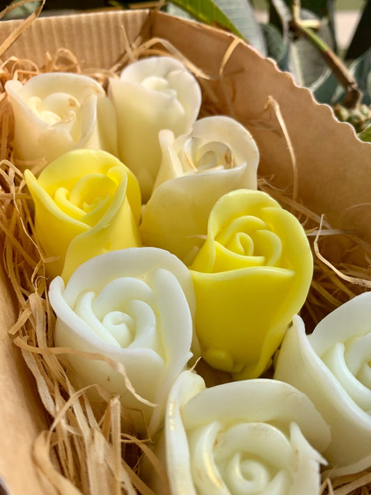 Box of 8 roses - Lemon - Mandy and Co