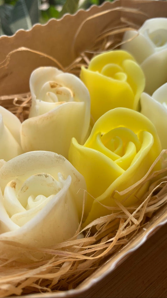 Box of 8 roses - Lemon - Mandy and Co