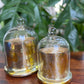 Premium Scented Bell Jar Candle : Pair of 2 - Mandy and Co