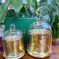 Premium Scented Bell Jar Candle : Pair of 2 - Mandy and Co