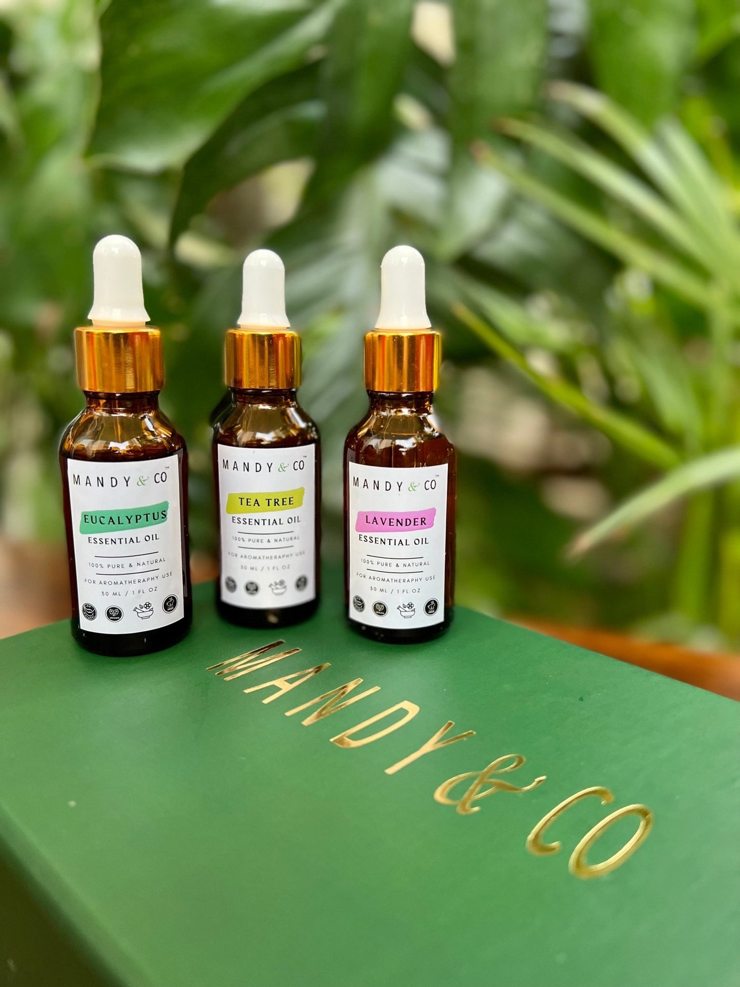 Pure Essential Oils - Gift Pack of 3 - Mandy and Co