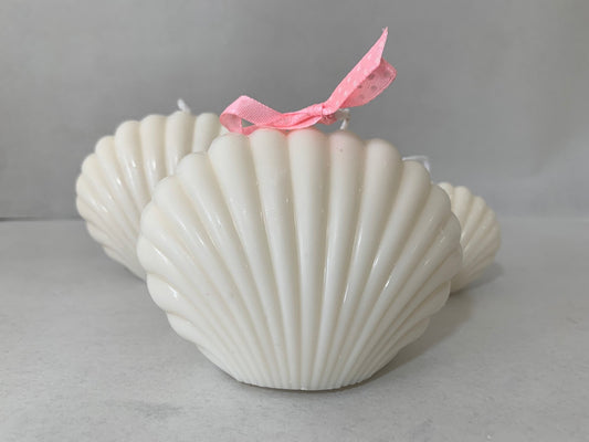 Soy Candle : Sea shell - Mandy and Co